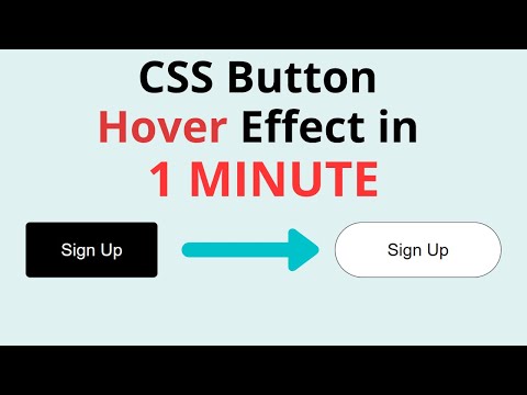 CSS Button Hover Effects in 1 Minute | HTML CSS