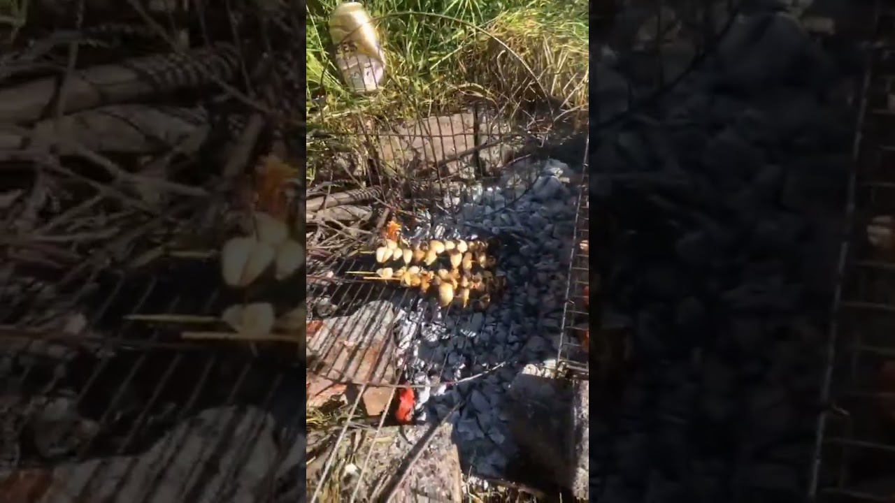 Adana kebap doğada ???????? #yemektarifleri #food #shortvideo #cooking #viral #ızgara #foodie #like #love Adana kebap doğada ???????? #yemektarifleri #food #shortvideo #cooking #viral #ızgara #foodie #like #love
