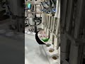 Automatic rotary table honey/royal jelly filling and sealing machine #machine #honey  #filling