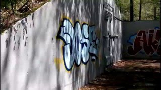 Adventure in the woods