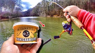 How To Catch BIG Fish With Worms From Walmart