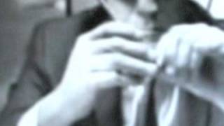 POPULOUS- "Breathes The Best" ( FAN MADE VIDEO) Directed by Tim R. French
