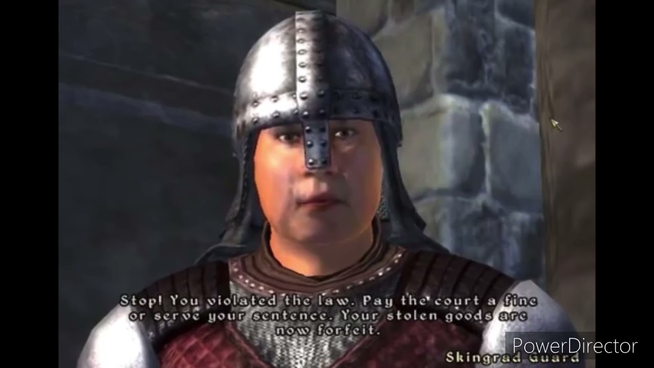 Stop You Violated The Law Meme
