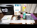 【３６５日〜猫動画】猫飼います！飼い始めの道具準備！