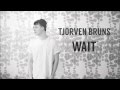 Tjorven bruns  wait  cover