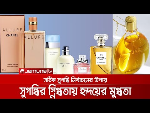 ভিডিও: আমস্টারডামে শীর্ষ আকর্ষণের 48 ঘন্টা