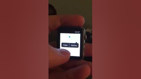 Web Browser Running on the Apple Watch