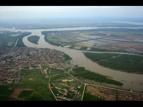 Видео: Обичан и изоставен