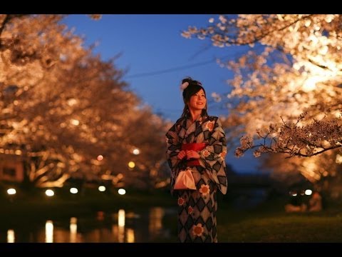 桜坂　福山雅治　cover