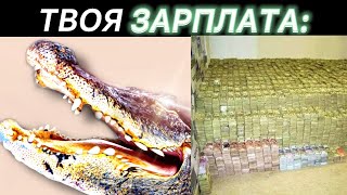 веселый КРОКОДИЛ меняющиеся лица(ТВОЯ ЗАРПЛАТА)