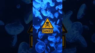 Top 5 toxic animal #viral #factism #factsinhindi #facts ##factshorts