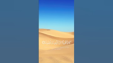 (كانوا قليلا من اليل )القرآن الكريم بصوت جميل #quran #قران #اكسبلور #تلاوه #راحة_نفسية #لايك