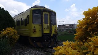 Taiwan Railway 2020.08.29 DR1000 Series [National Jiji Museum Wrapping] 4-car Fleet【Train No. 2712】