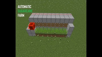 Minecraft: Automatic Sugar Cane Farm * NO OBSERVERS Tutorial [1.12-1.16.1]