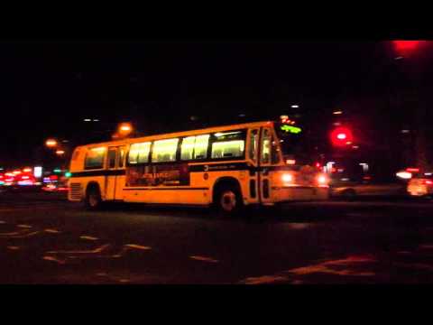 Bx21 Bus Time Schedule