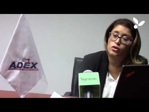 Entrevista A Paula Carrión Gerente De Agroexportaciones ADEX