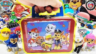 Paw Patrol Toys | Magic Puzzle Gift Box | Funny Education Video for Kids