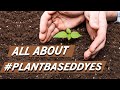 All About #PlantBasedDye #SHORTS