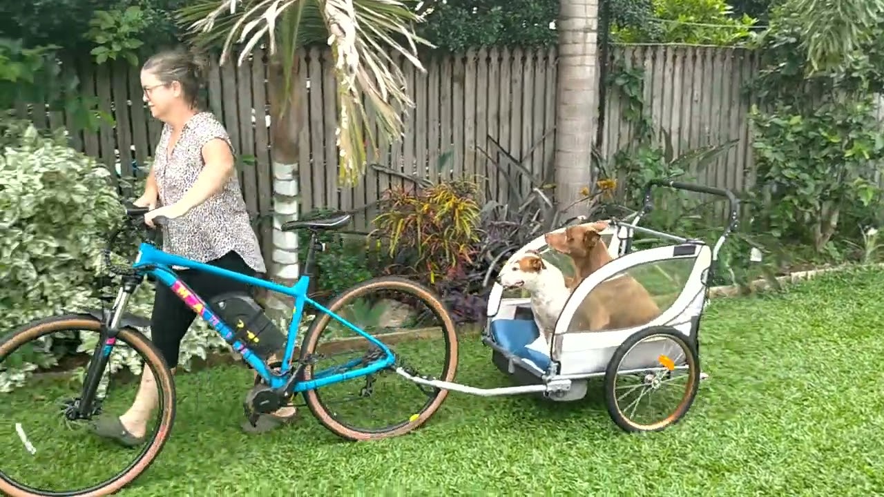 dogs in an ebike trailer YouTube