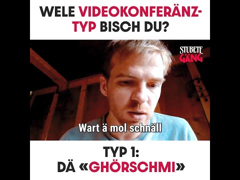 Die 11 Videokonferenz-Typen