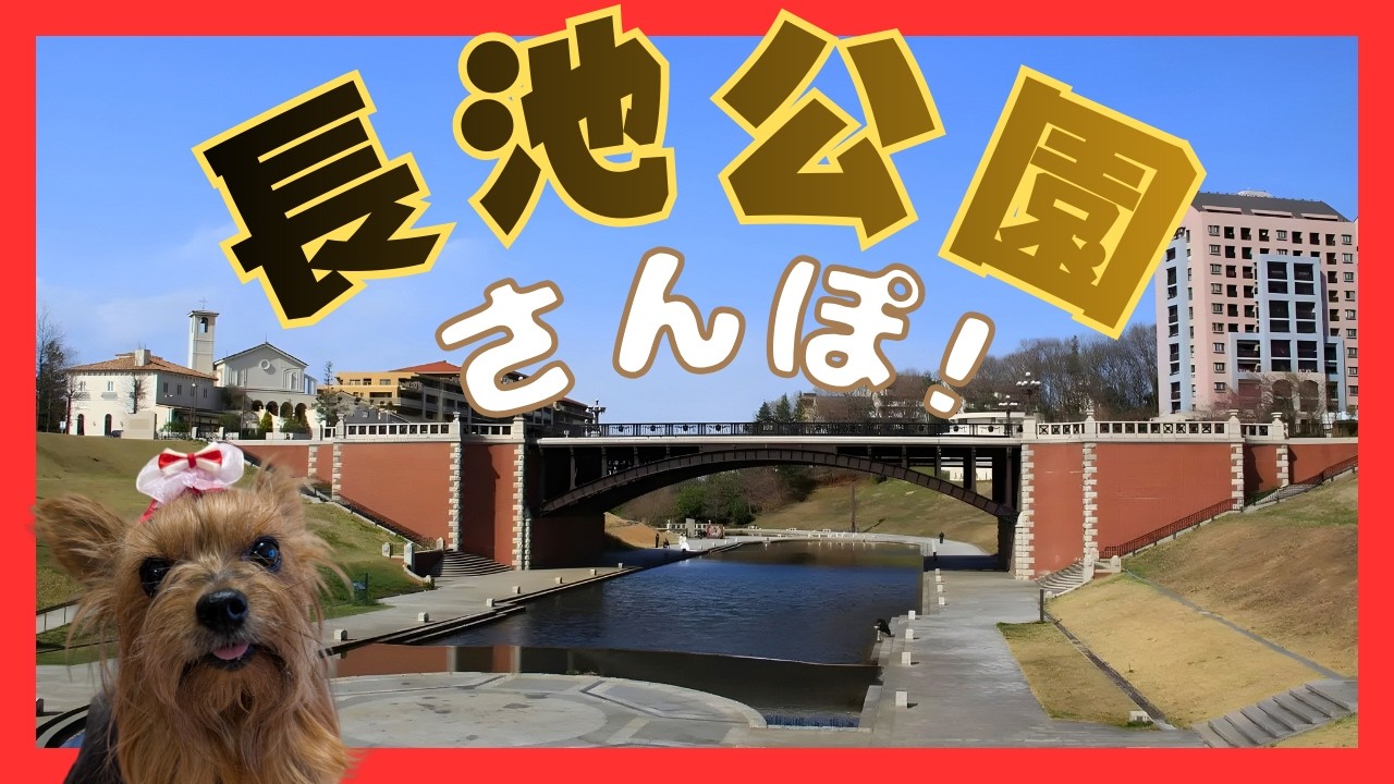 【ロケ地で大興奮】ドラマでお馴染み！八王子の長池公園を早歩きするヨーキーにママ感激【散歩Vlog】