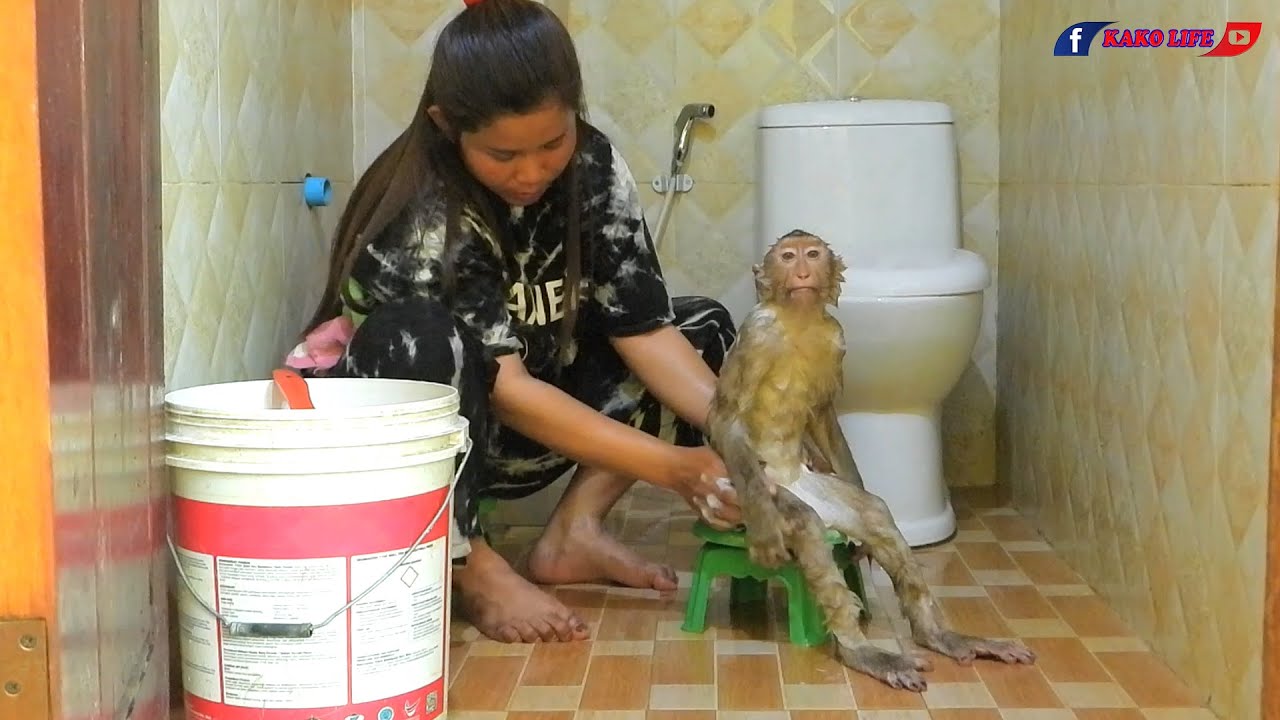 Smart Boy Kako Taking Bath On Chair