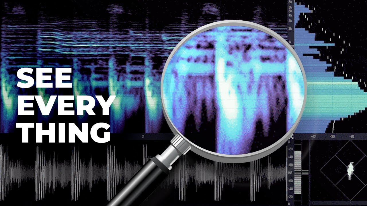 Monitor mixes like Noisia Excite Audio Vision 4X YouTube