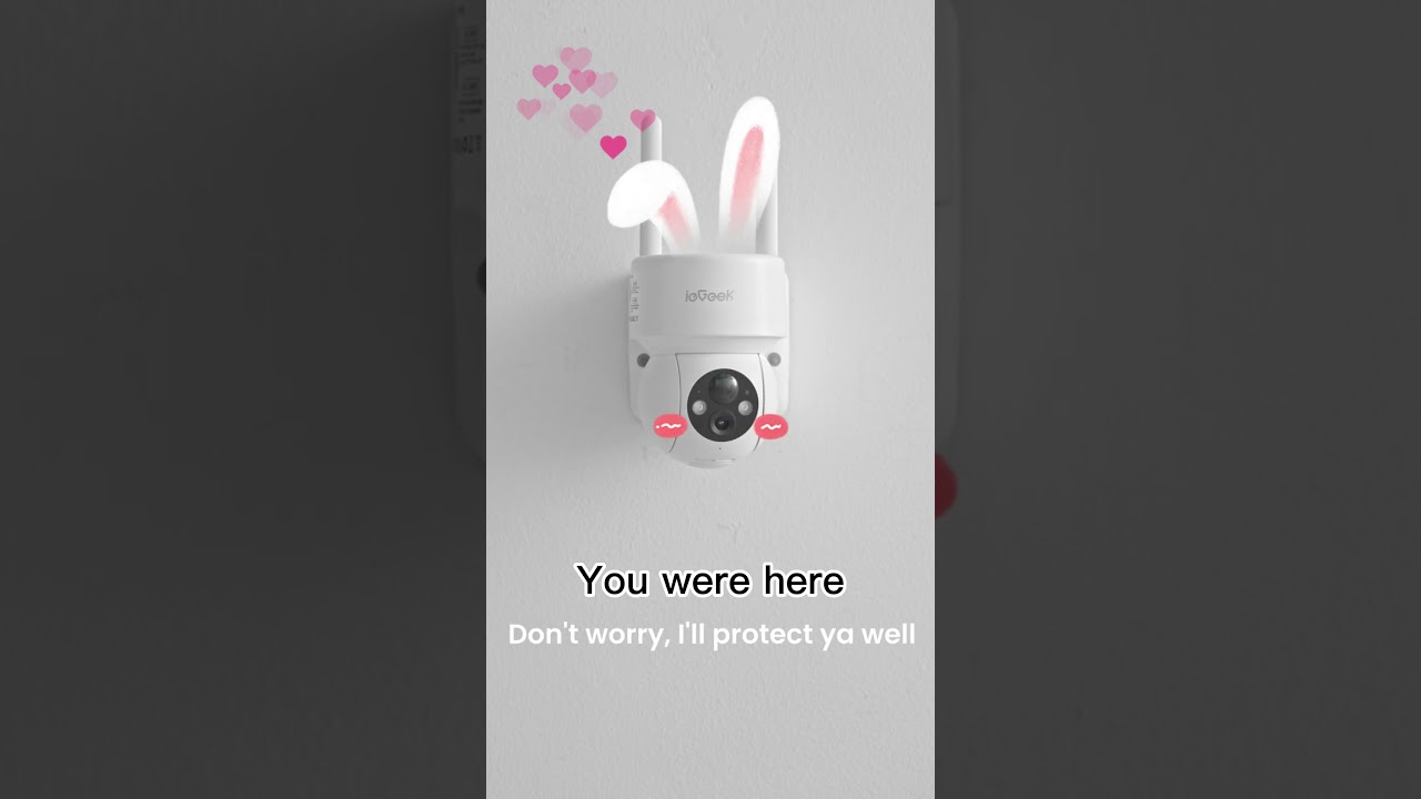 ieGeek DQ201 Security Camera: Don't worry,  I will protect you well❤️ 