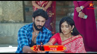 Vikram is involved in the marriage shastra with Veda | NeenadheNa | Star Suvarna | Ep 303