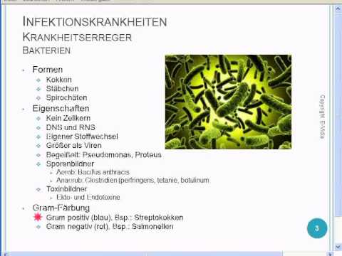 Infektionskrankheiten Auszug Online Seminar Thema Bakterien