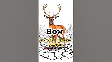 How to Build a Water Filter in a Post-Apocalyptic World #shorts #science