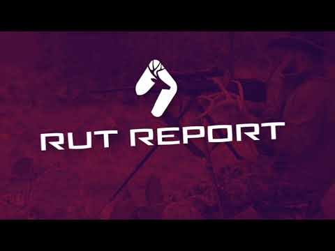 1.1 - Summer Preparation | Rut Report 2023
