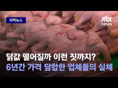   자막뉴스 닭값 떨어질까 이런 짓까지 6년간 가격 담합한 닭고기 업체들의 실체 JTBC News