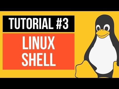 What is the Linux Shell ?