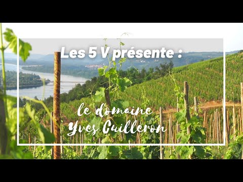 DOMAINE YVES CUILLERON : Une visite dans les côtes du Rhône septentrionaux - Les 5 V
