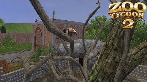 ZT2 | Silver Lake Zoo | Tamandua Exhibit [2]