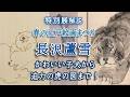 解説!特別展「春の江戸絵画まつり 長沢蘆雪」🐶かわいらしい子犬の絵から、迫力の龍虎の図までをご紹介!