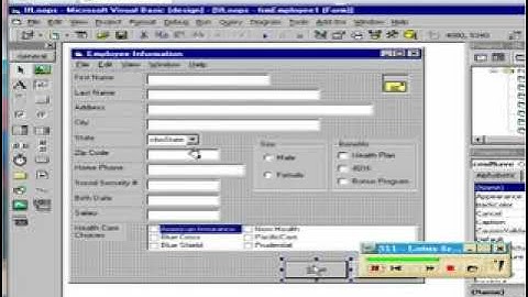 Keystone Learning: Visual Basic 6 Level 2 - Chapter 3, Section 1