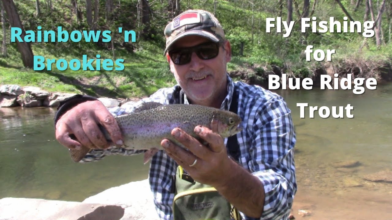 Fly Fishing for Spring Trout in the Blue Ridge Mountains