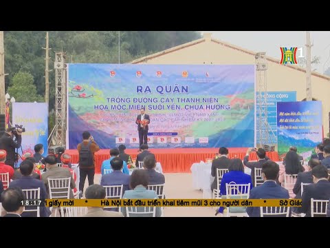 Video Phát động trồng đường cây hoa mộc miên ở quần thể suối... - youtube