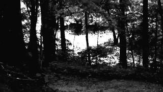 Black Autumn - Seven Spirits