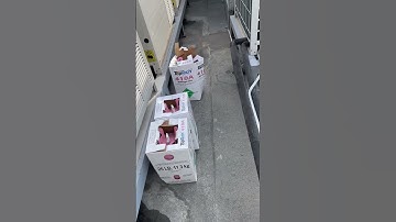 Vrf low on charge due to leak