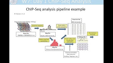 CHiP-Seq Analysis- Day 1