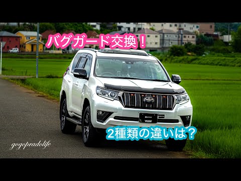 314 [Prado] I Swapped Out My Bug Deflector! - YouTube