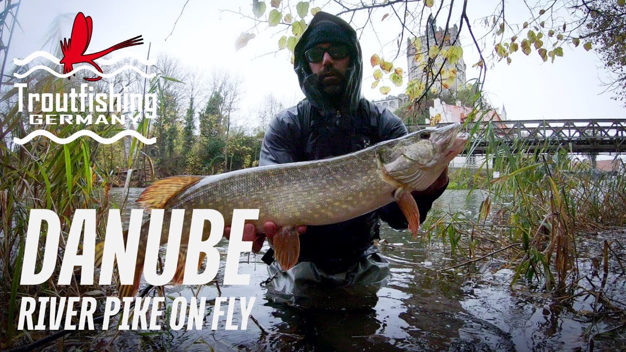 Flyfishing for Pike in the River Danube, Germany YouTube