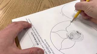 Design Your CD Weaving