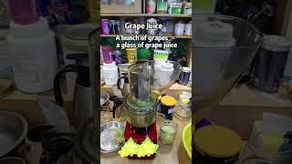 Wide Mouth Slow Juicer Tk-500 Green G Juice