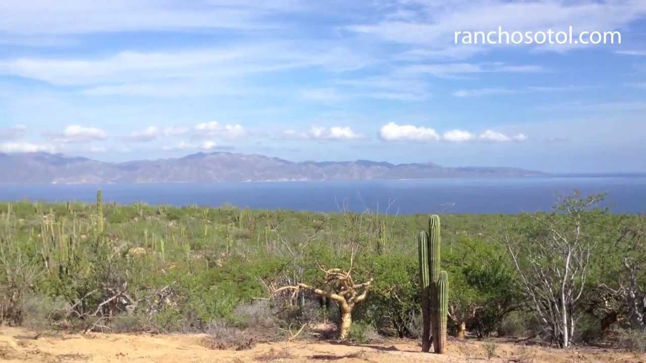 Venta de terrenos La Ventana Baja Sur Mexico YouTube