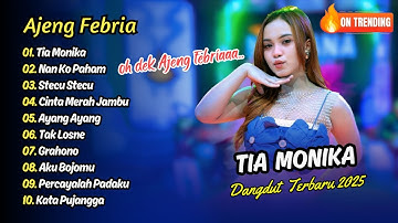Ajeng Febria - TIA MONIKA - NAN KO PAHAM - STECU STECU || DANGDUT TERBARU 2025