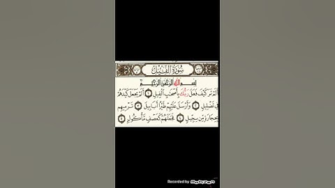 سورة الفيل بصوت الشيخ فارس عباد